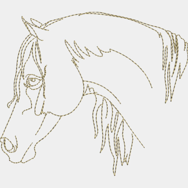 WS611 48 Thumbnail
