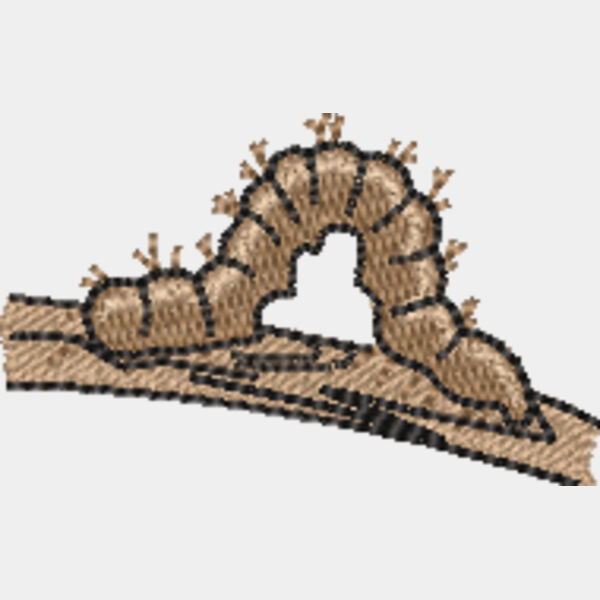 370556 Thumbnail