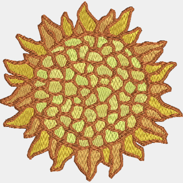 NZ634 Thumbnail