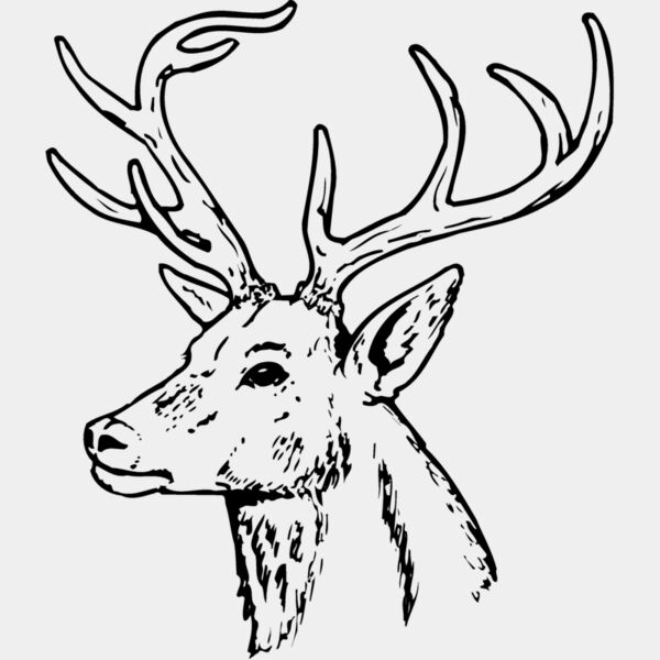 DEER022 Thumbnail
