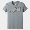 Youth Heather CVC Tee Thumbnail