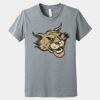 Youth Heather CVC Tee Thumbnail