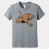 Youth Heather CVC Tee Thumbnail