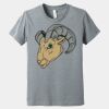 Youth Heather CVC Tee Thumbnail