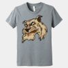 Youth Heather CVC Tee Thumbnail