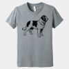 Youth Heather CVC Tee Thumbnail