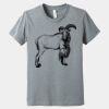 Youth Heather CVC Tee Thumbnail