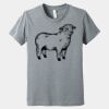 Youth Heather CVC Tee Thumbnail