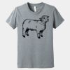 Youth Heather CVC Tee Thumbnail