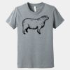Youth Heather CVC Tee Thumbnail
