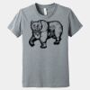 Youth Heather CVC Tee Thumbnail