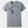 Youth Heather CVC Tee Thumbnail