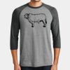 Perfect Tri ® 3/4 Sleeve Raglan Thumbnail