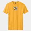 Perfect Blend ® CVC Tee Thumbnail