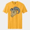 Perfect Blend ® CVC Tee Thumbnail