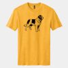 Perfect Blend ® CVC Tee Thumbnail