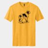 Perfect Blend ® CVC Tee Thumbnail