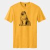 Perfect Blend ® CVC Tee Thumbnail