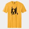 Perfect Blend ® CVC Tee Thumbnail