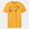 Perfect Blend ® CVC Tee Thumbnail