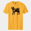 Perfect Blend ® CVC Tee Thumbnail