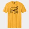 Perfect Blend ® CVC Tee Thumbnail