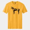 Perfect Blend ® CVC Tee Thumbnail