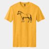 Perfect Blend ® CVC Tee Thumbnail