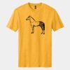 Perfect Blend ® CVC Tee Thumbnail