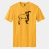 Perfect Blend ® CVC Tee Thumbnail