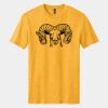 Perfect Blend ® CVC Tee Thumbnail