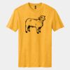 Perfect Blend ® CVC Tee Thumbnail