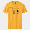 Perfect Blend ® CVC Tee Thumbnail