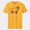 Perfect Blend ® CVC Tee Thumbnail