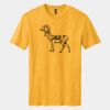 Perfect Blend ® CVC Tee Thumbnail