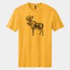 Perfect Blend ® CVC Tee Thumbnail