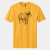 Perfect Blend ® CVC Tee Thumbnail