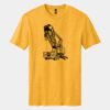 Perfect Blend ® CVC Tee Thumbnail