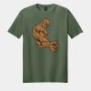 Softstyle ® T Shirt Thumbnail