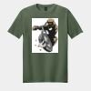 Softstyle ® T Shirt Thumbnail