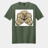 Softstyle ® T Shirt Thumbnail