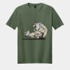Softstyle ® T Shirt Thumbnail