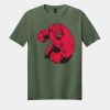 Softstyle ® T Shirt Thumbnail