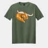 Softstyle ® T Shirt Thumbnail