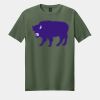 Softstyle ® T Shirt Thumbnail