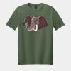 Softstyle ® T Shirt Thumbnail