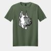 Softstyle ® T Shirt Thumbnail