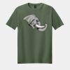 Softstyle ® T Shirt Thumbnail