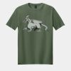 Softstyle ® T Shirt Thumbnail