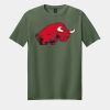 Softstyle ® T Shirt Thumbnail